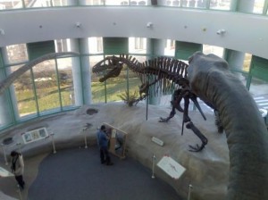 museum-of-natural-sciences